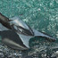 Designed by <strong>Troy Starkey</strong> &bull; Created in Ashlar-Vellum CAD & 3D Modeling Software